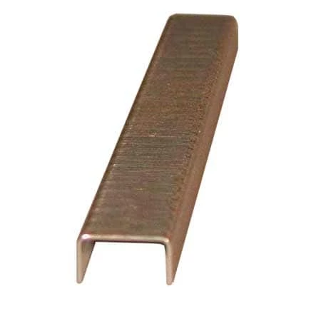 Mastercraft Fastener 1/4-in JT21 Staples, 1000-pk